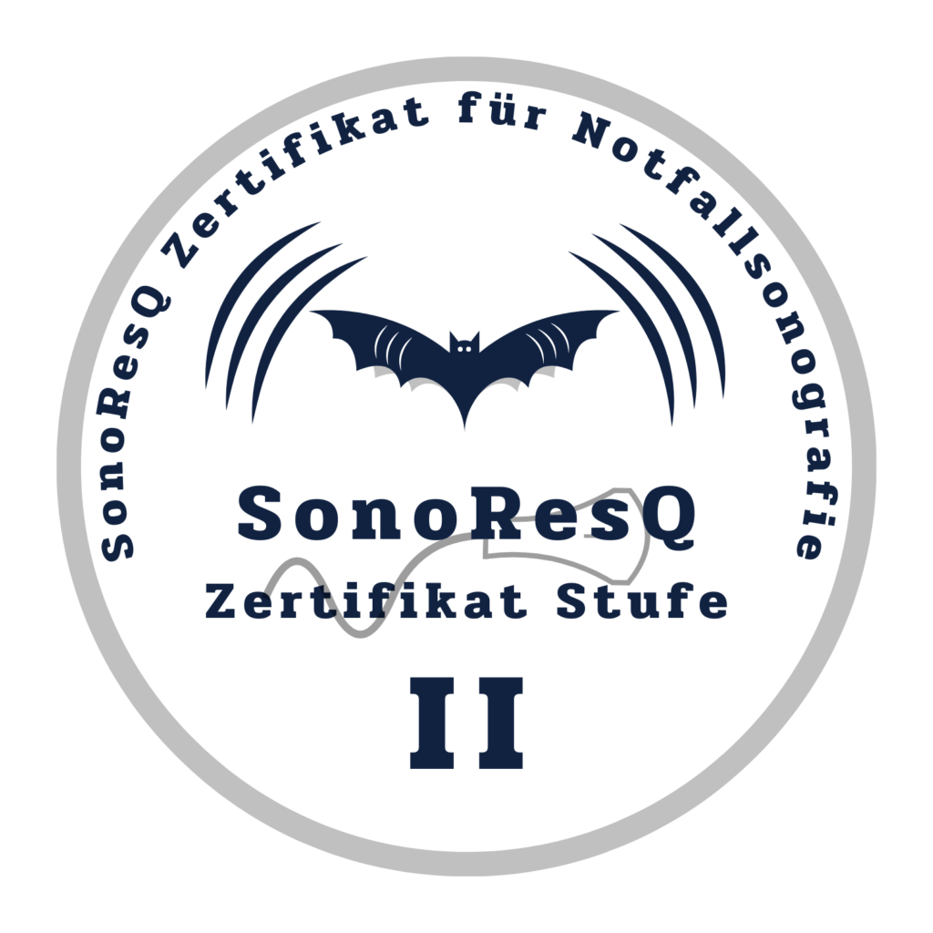 SonoResQ Logo Zertifikat Stufe 2 in silber